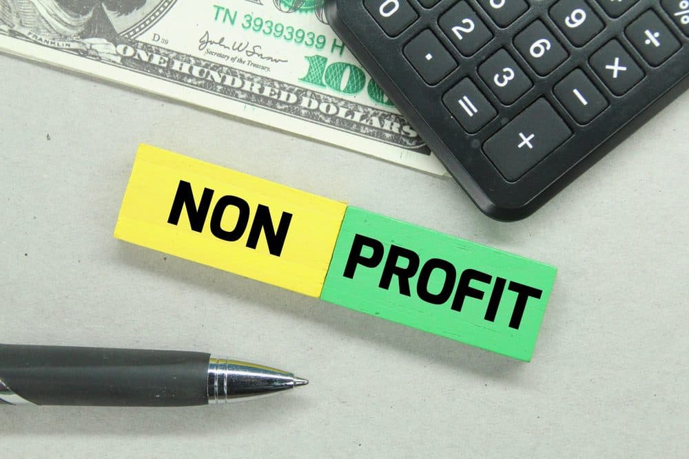 IRS Audit Survival: Is Your NGO Ready for the Public Support Test?