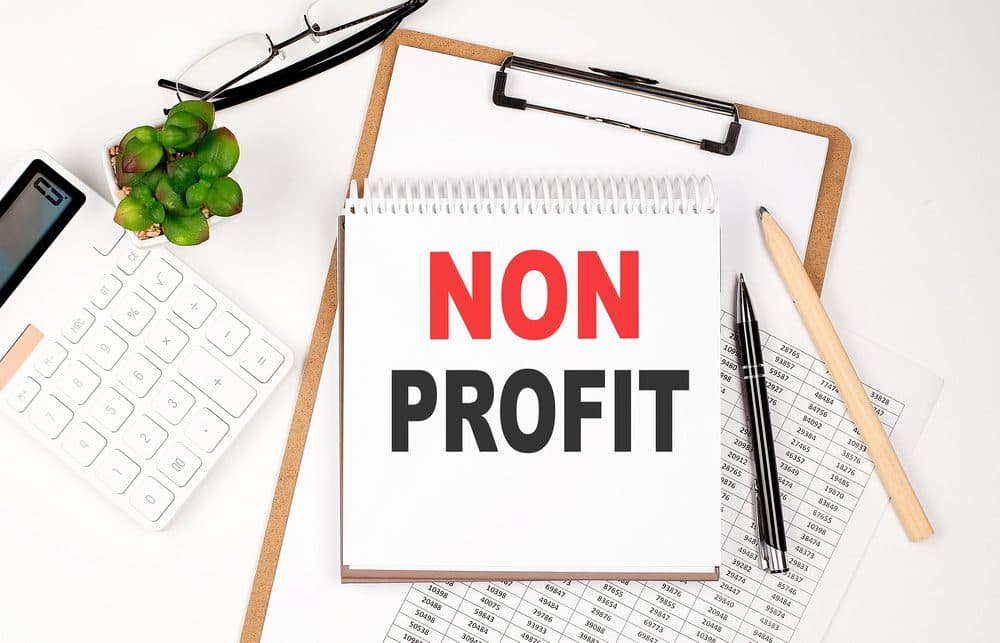 Non Profit Organization Guide to IRS Audit Readiness