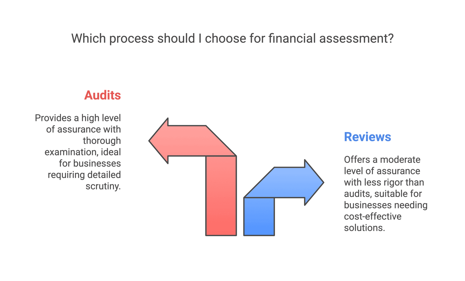 What to Choose Between Reviews and Audits?